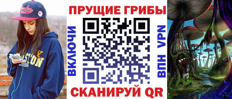 Псилоцибиновые грибы ЛСД  цена   Николаевск-на-Амуре 